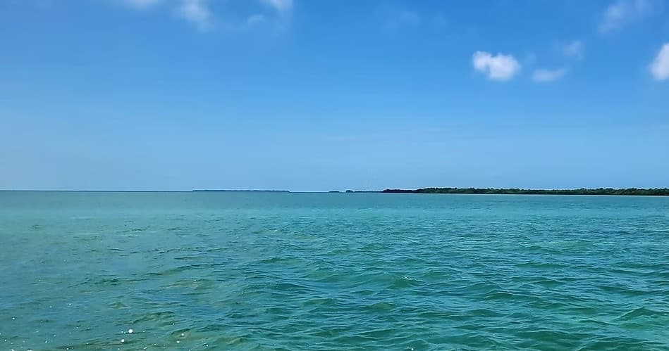 Blue Horizon’s Mini Sandbar Trip in Naval Air Station Key West