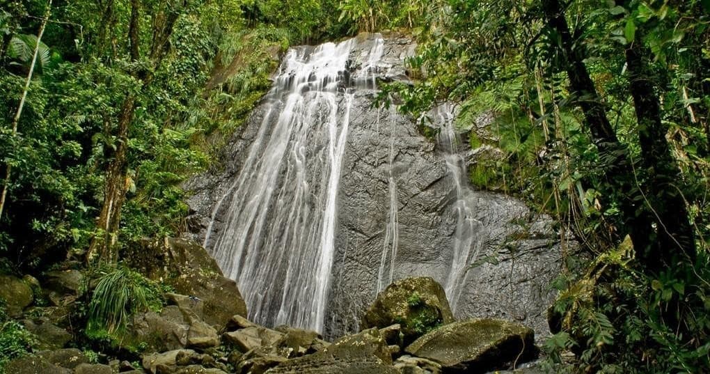 El Yunque Private Wheelchair-Accessible Bus Tour in Puerto Rico