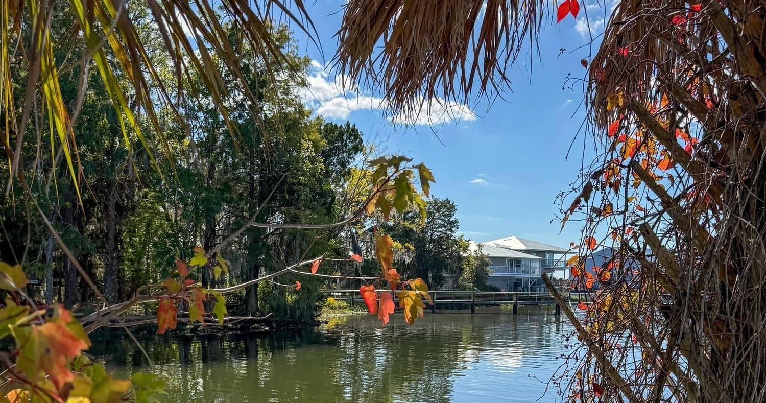 Crystal River Walking Tours fleet