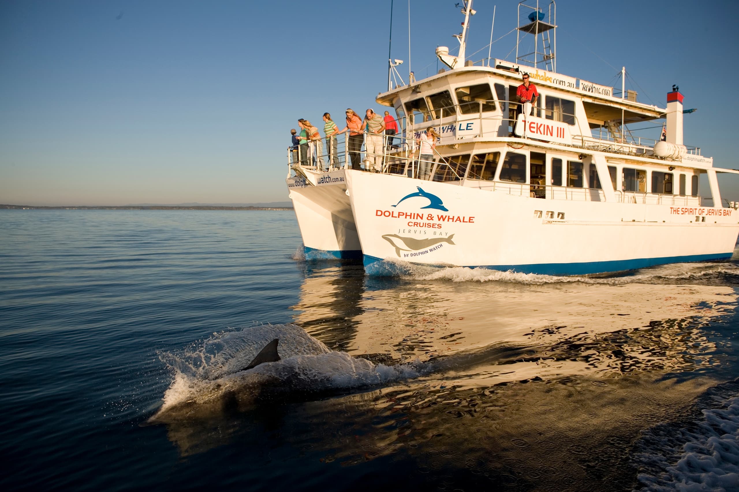 Wildlife & Beach Adventure with Colourful Collective Travel