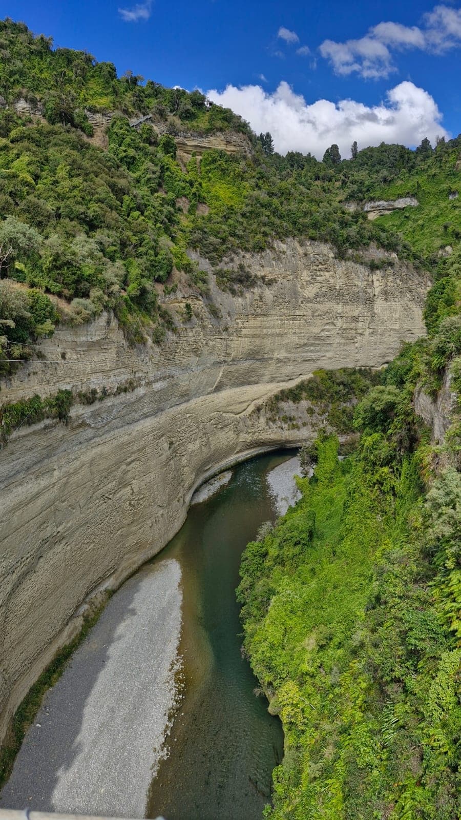 E-Bike the Laughing Moa Loop: Full-Day Ride from River Valley Lodge, Taihape photo 3
