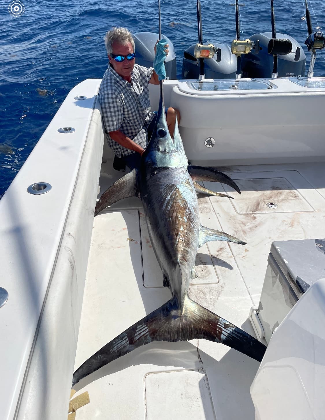 Trophy Tuna Runs: Deep-Sea Fishing Off Venice with Captain Bobby Kenney photo 4