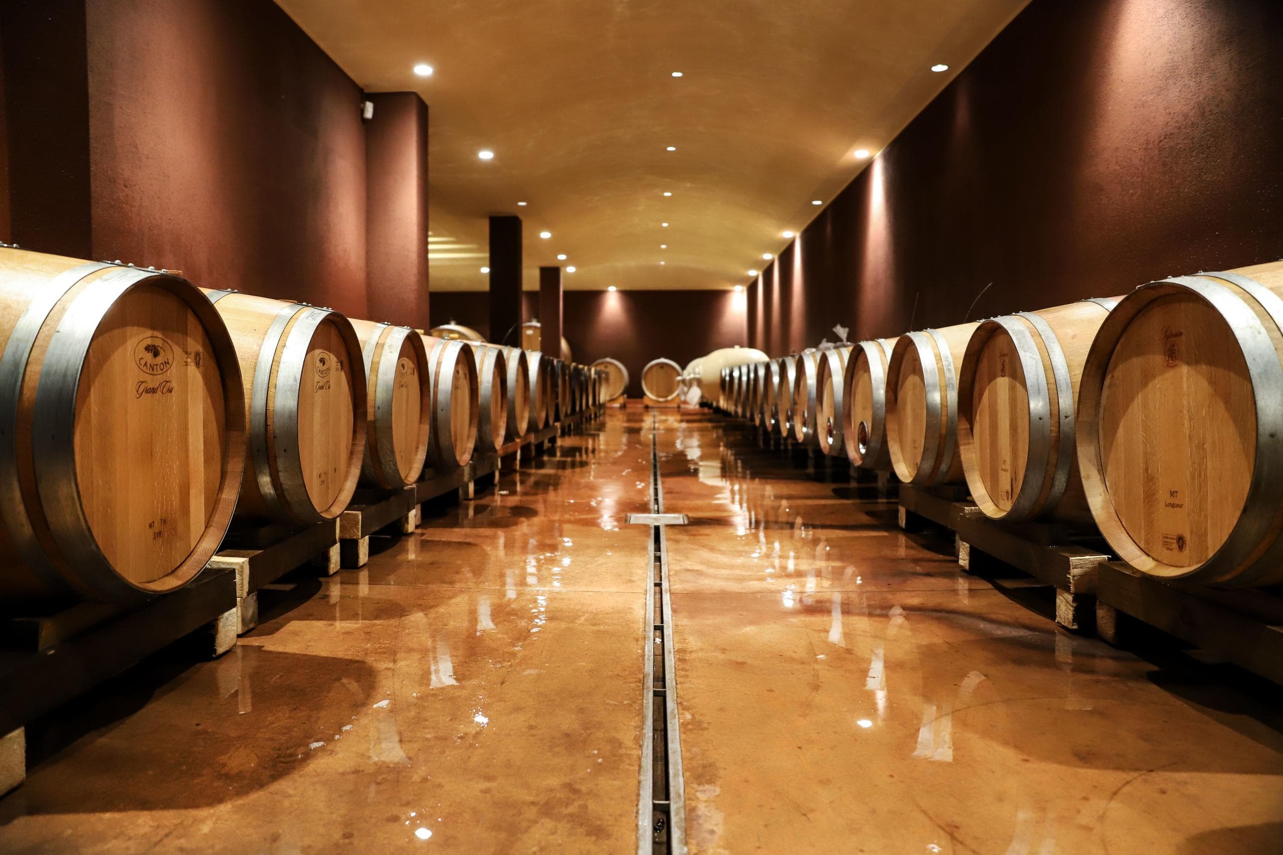 Bardolino Wine Tasting Tour by Hidden Experiences