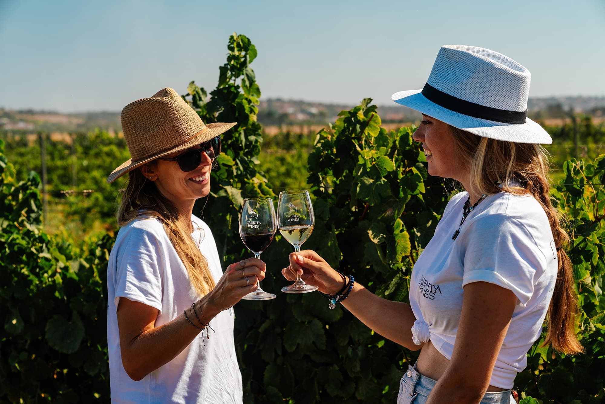 Wine Tasting & Vineyard Tour at Cabrita Wines in Algarve