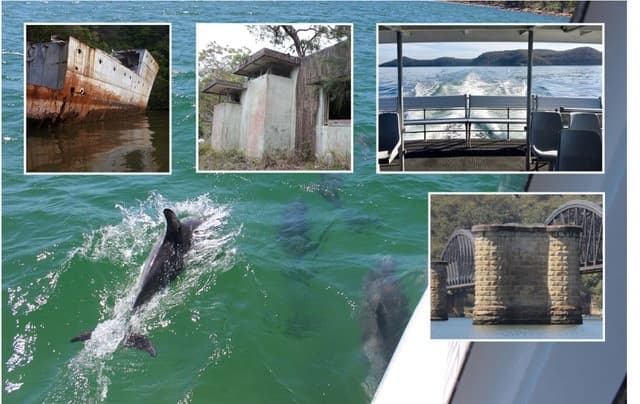Dolphins alongside coastal sightseeing boat on ocean tour