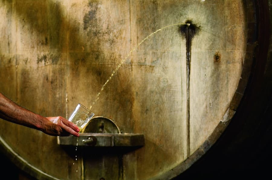 Cycle & Savor with Go Local San Sebastián in Gipuzkoa