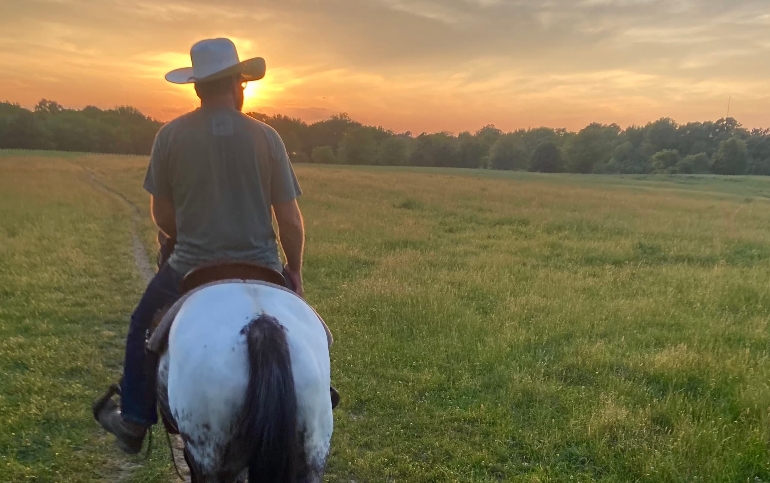 Land Adventures at Shelby Farms Stables: Sunset Private Ride