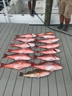 Snapper Banks Charter: Ultimate Deep-Sea Fishing Adventure Off Savannah, Georgia