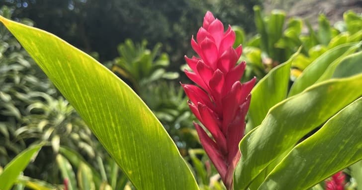 Ola`Ana Eco Tours: Circle Island Adventure in Oahu