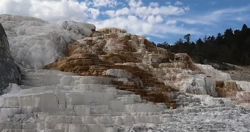 Private Mammoth Hot Springs & Upper Loop Tour from Jackson Hole: Full-Day Yellowstone Geysers, Wildlife & Highlights photo 1