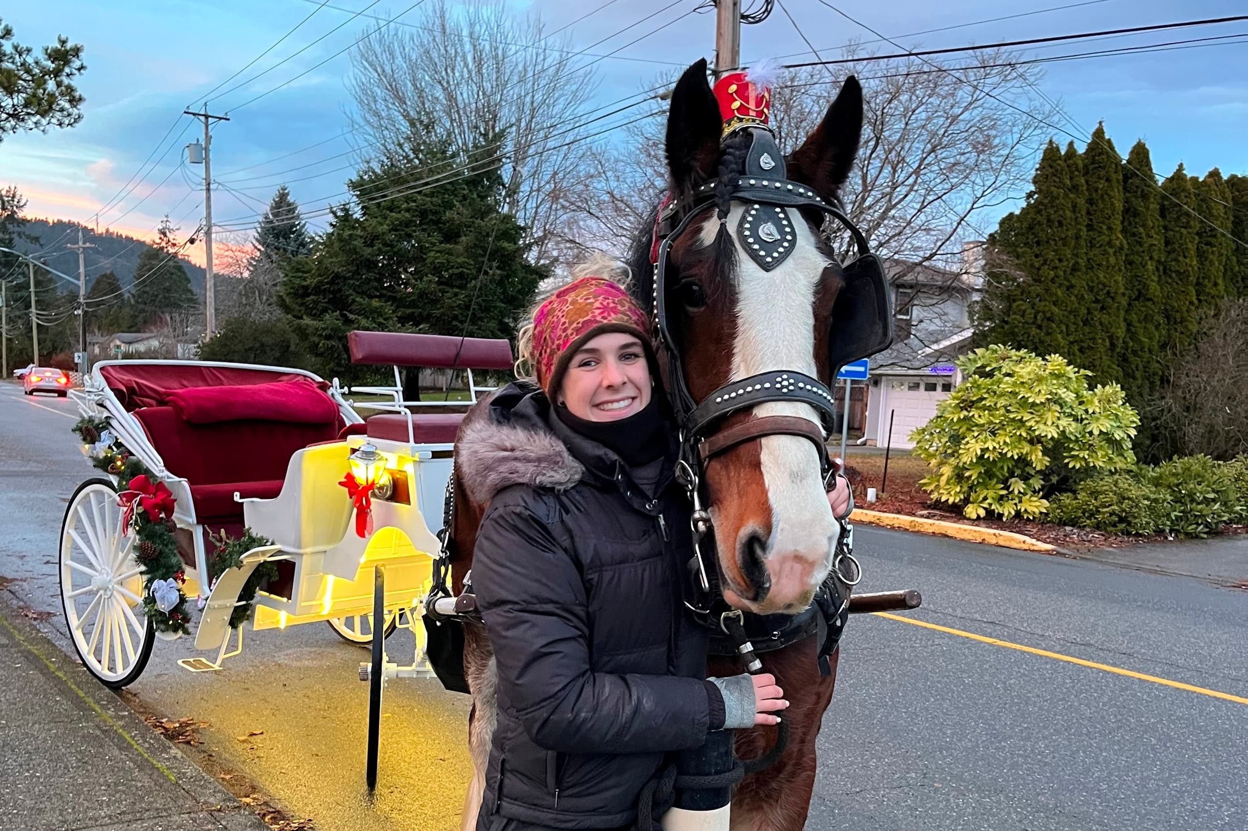 Experience Victoria’s Holiday Magic with the Jingle All the Way Carriage Tour