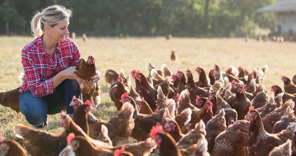 Farm & Nature Tour at Autochthonous Breeds Farm