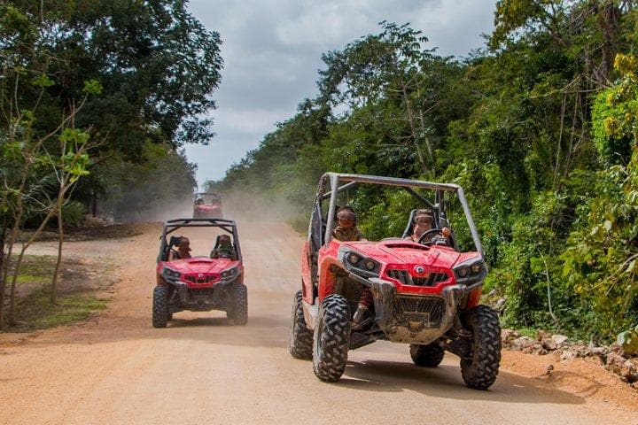 Jungle Buggy Tour’s Thrilling Half Day Buggy Adventure