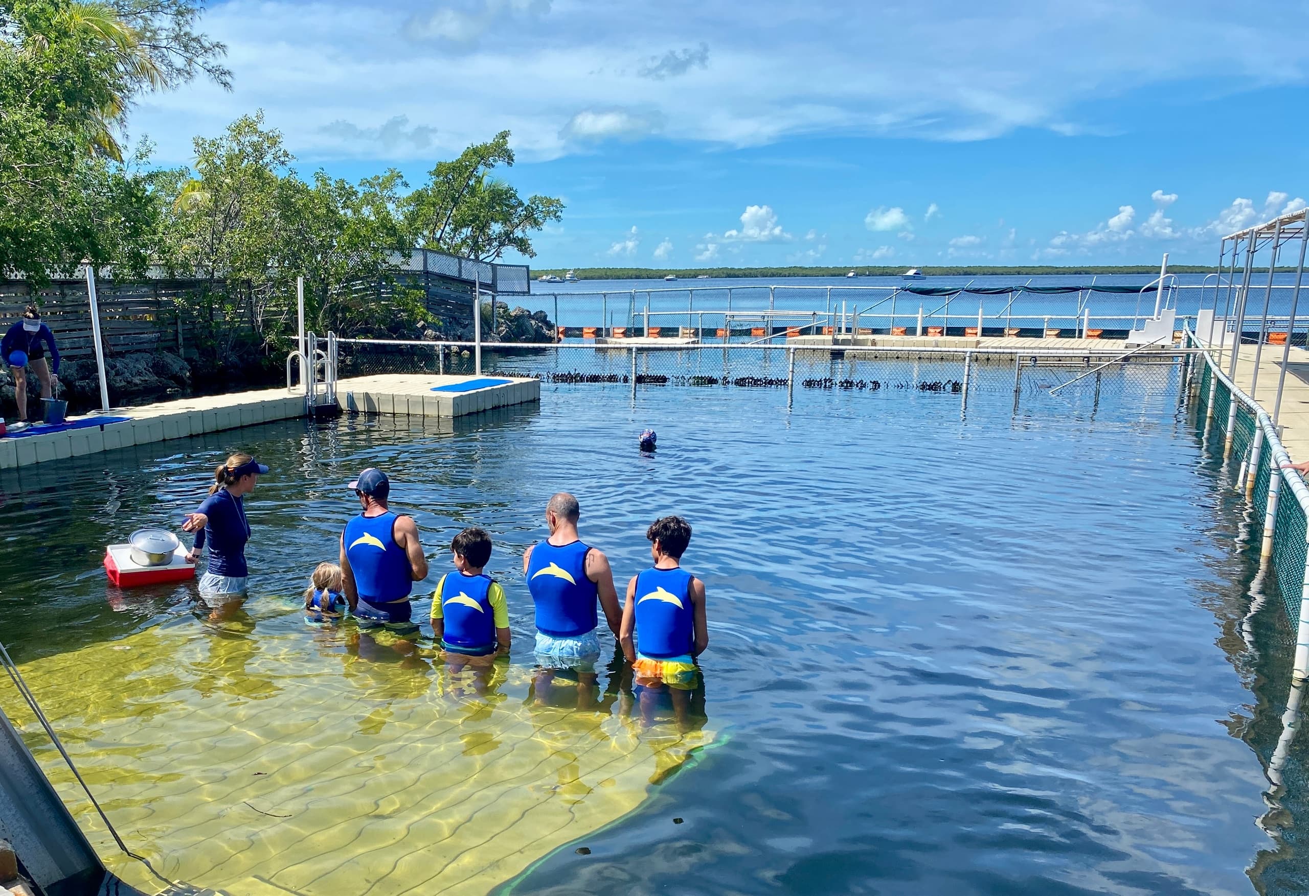 Guests interacting with marine encounter in shallow coastal rehabilitation pool