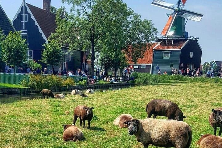 Outdoor Adventure in the Netherlands: Zaanse Schans & Giethoorn with IBA Tours