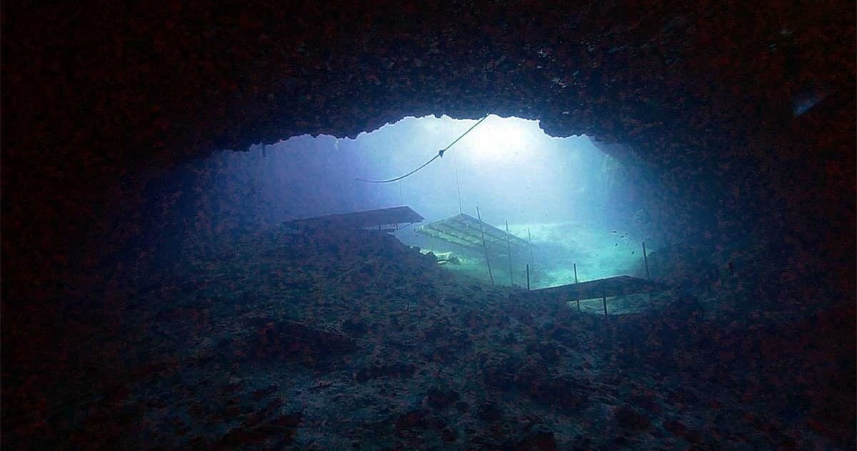 Blue Grotto Day + Night Dive: Night Diving Clearwater's Karst Cavern