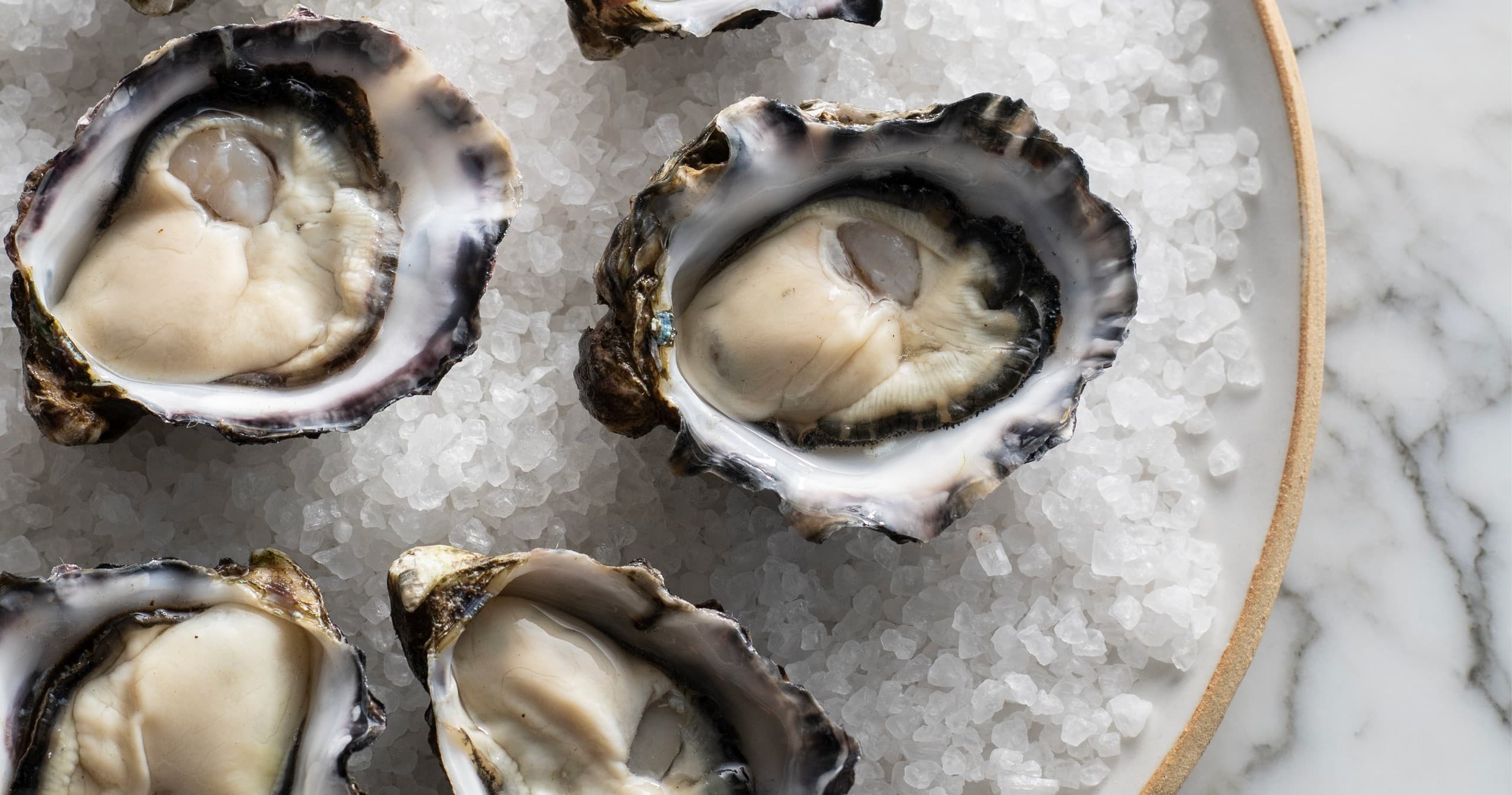 Oysters & Tyrrells Semillon Masterclass at Sydney Fish Market photo 1