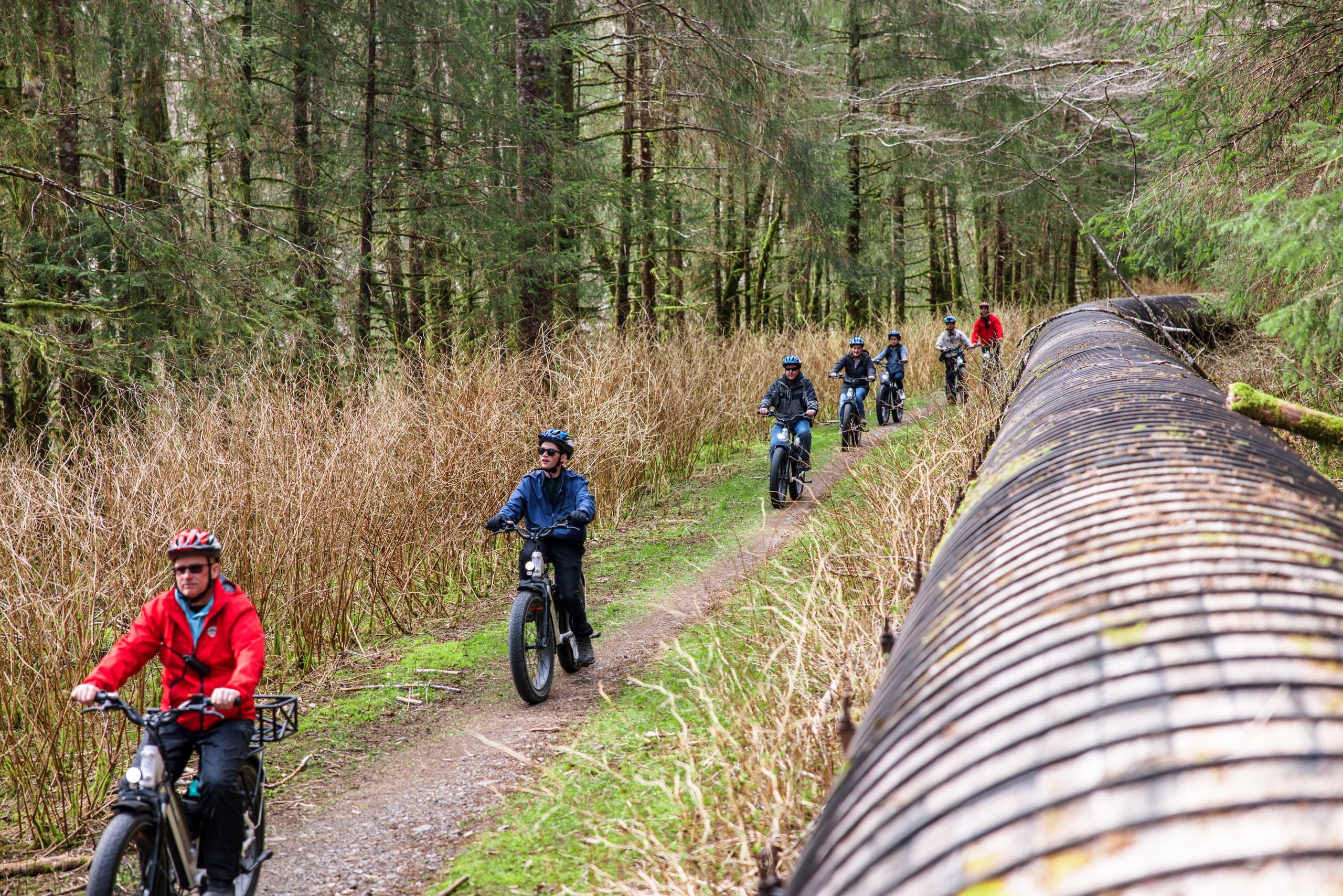 Fat-tire bikers riding forest trail along pipeline in temperate woods