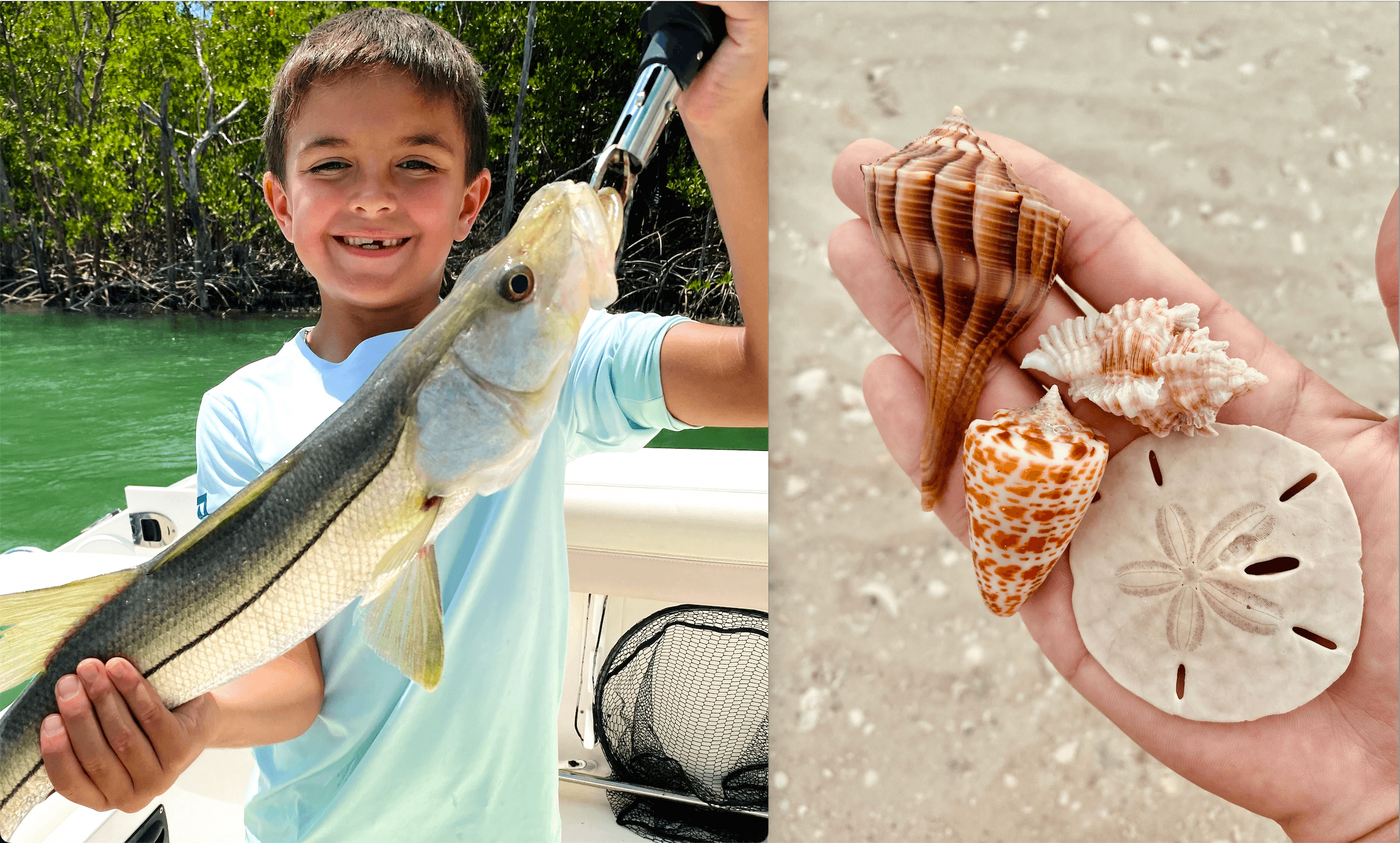 Private Shelling & Inshore Fishing with Island Excursions in Marco Island