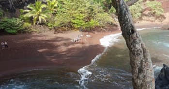 Half-Day Hana Tour by Sandy Cheeks Tours in Maui