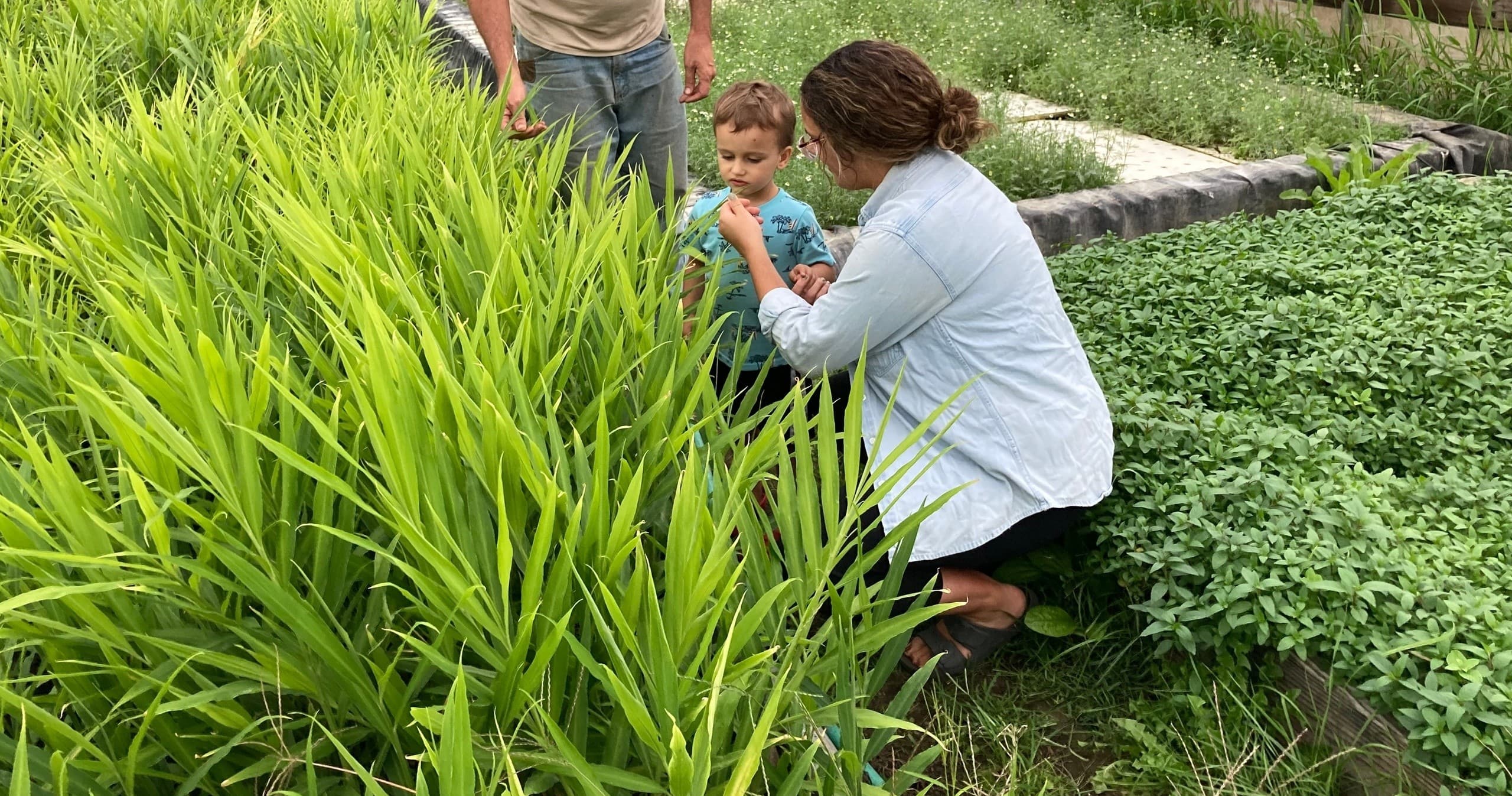 Land Adventures at Mud Lake Farm: Sustainable Tour and Tasting