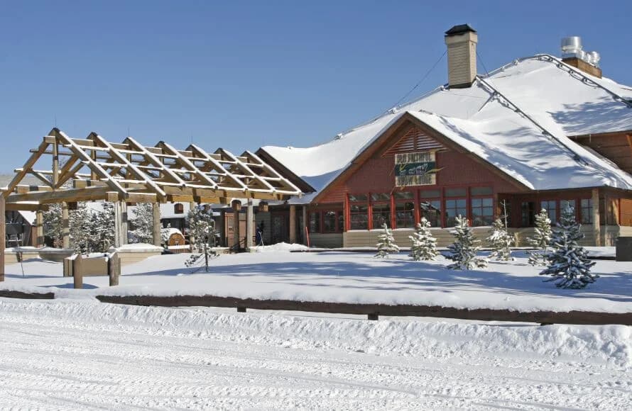 Winter Shuttle to Yellowstone Snow Lodge: Flagg Ranch Transfer & Wildlife Viewing