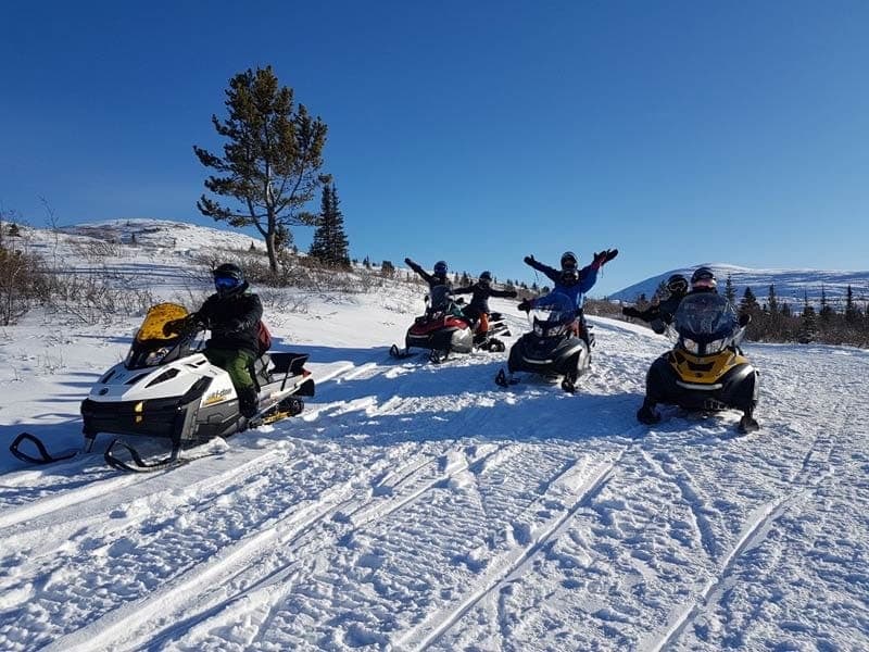 Whitehorse Half-Day Snowmobile on the Dawson Overland Trail