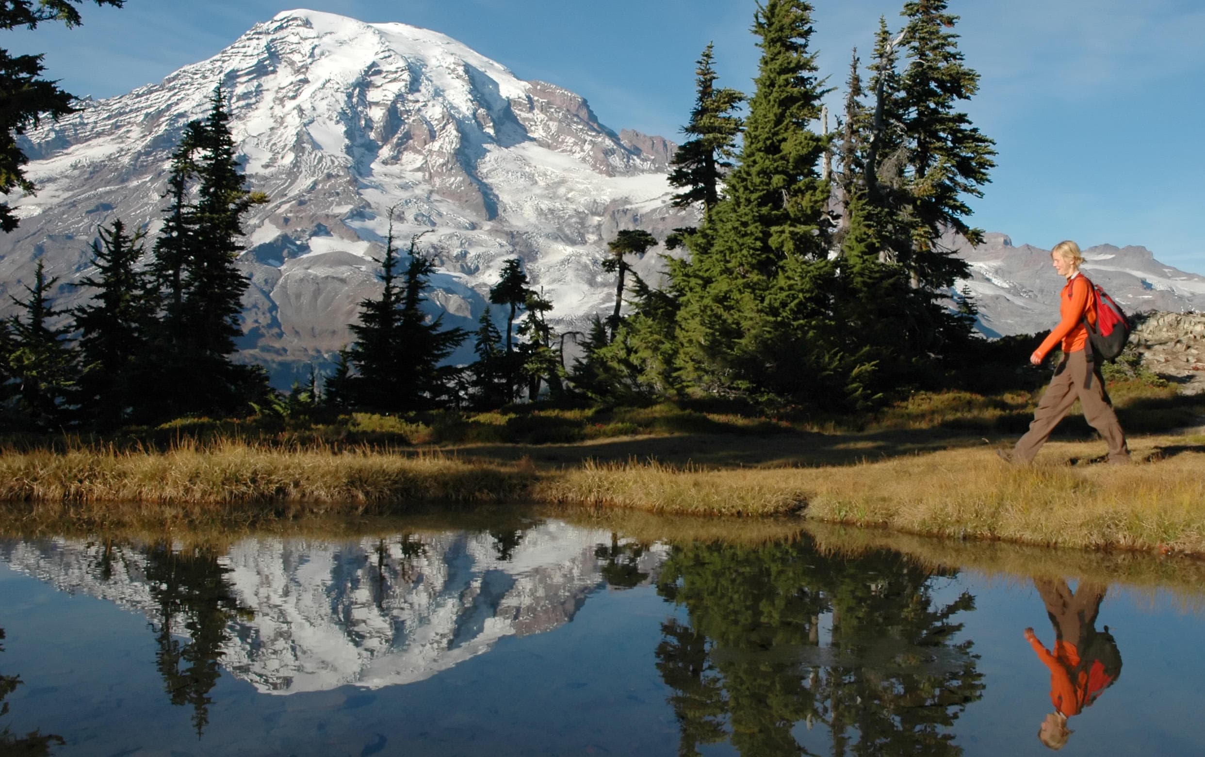 Explore Mt. Rainier National Park: Ultimate Day Hiking Tour