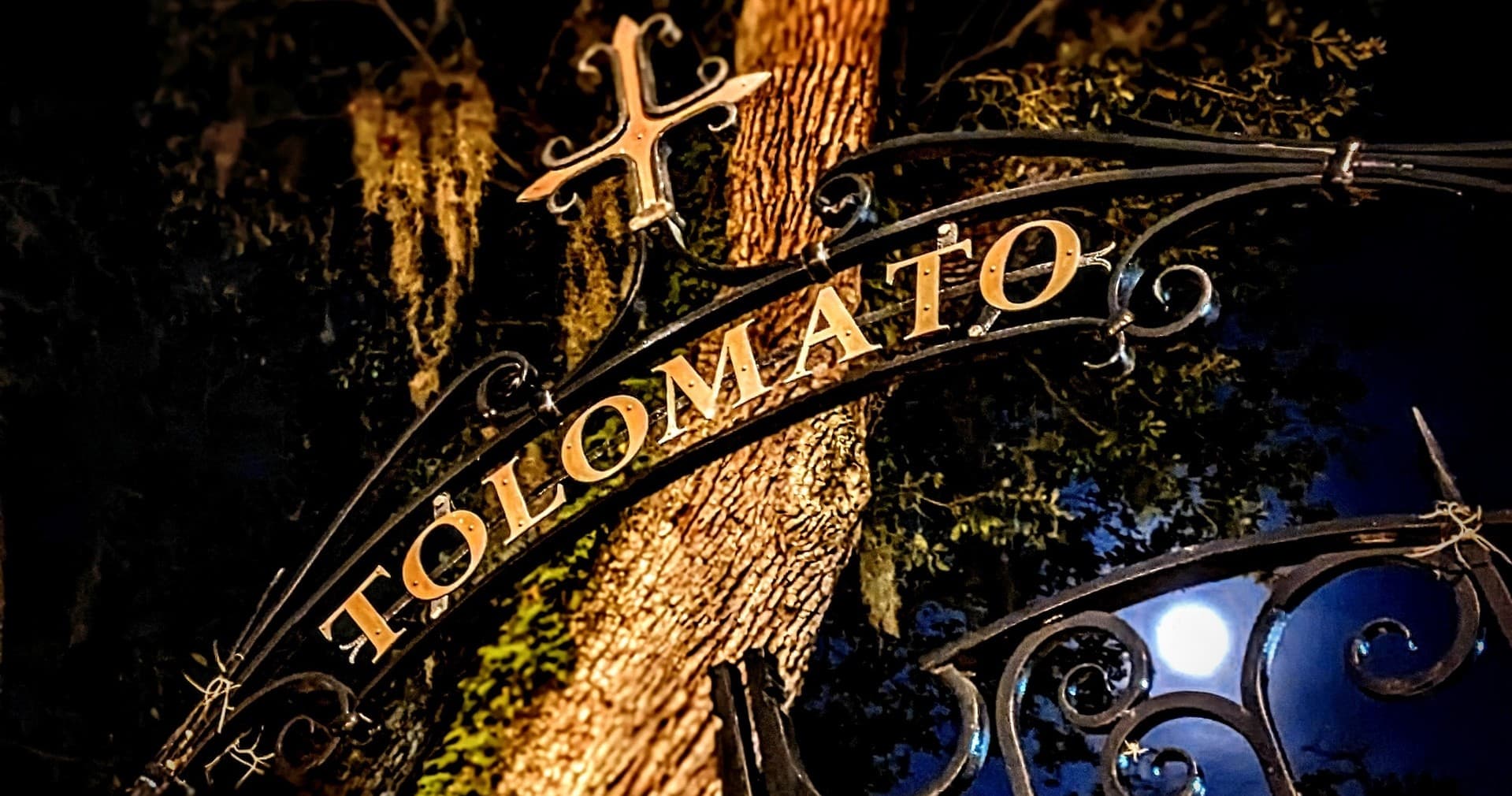 After-Dark Ghost Walks in St. Augustine: The Dark Side Tour