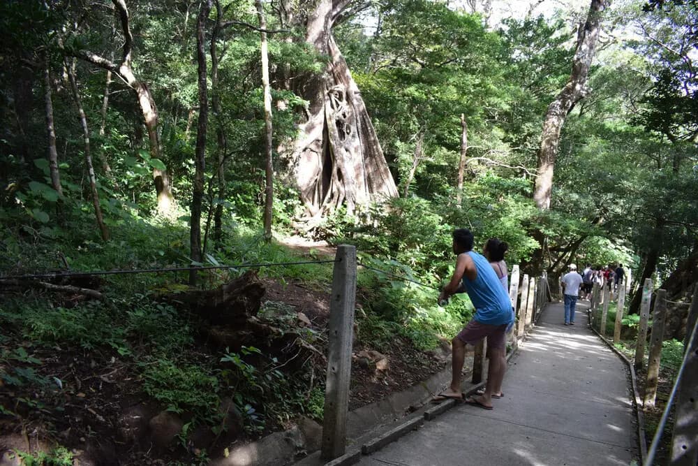 Steaming Trails: Private Hike to Las Pailas in Rincon de la Vieja photo 3