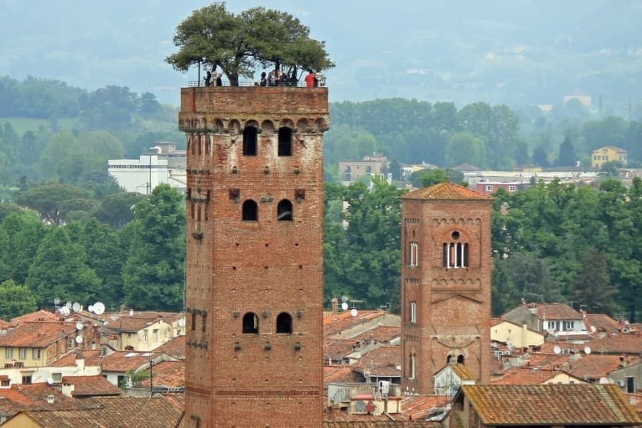 Guided Day Trip to Pisa & Lucca by Discovery Guided Tours