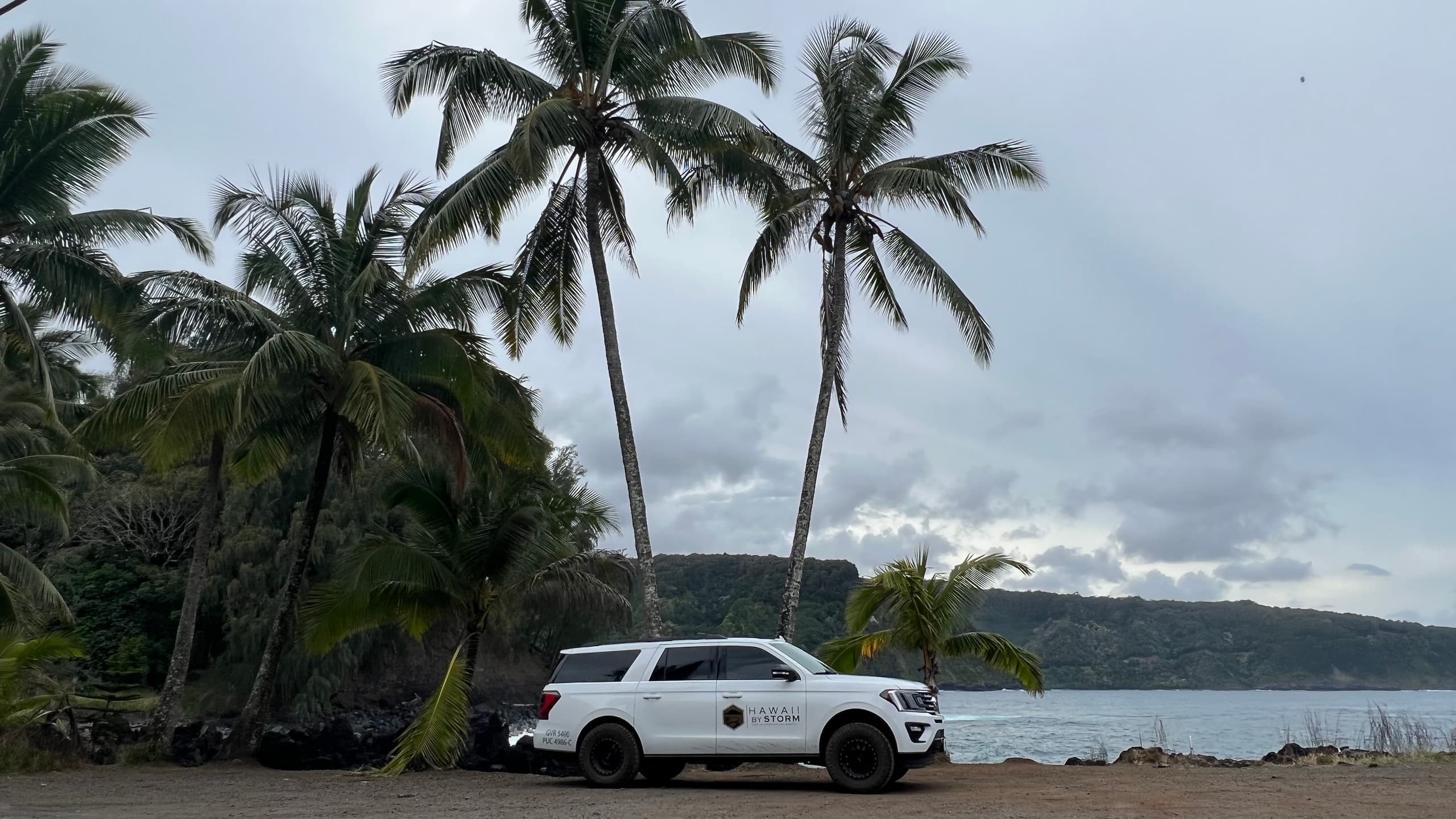 SUV parked under palm trees on sandy beach, tropical shore stop