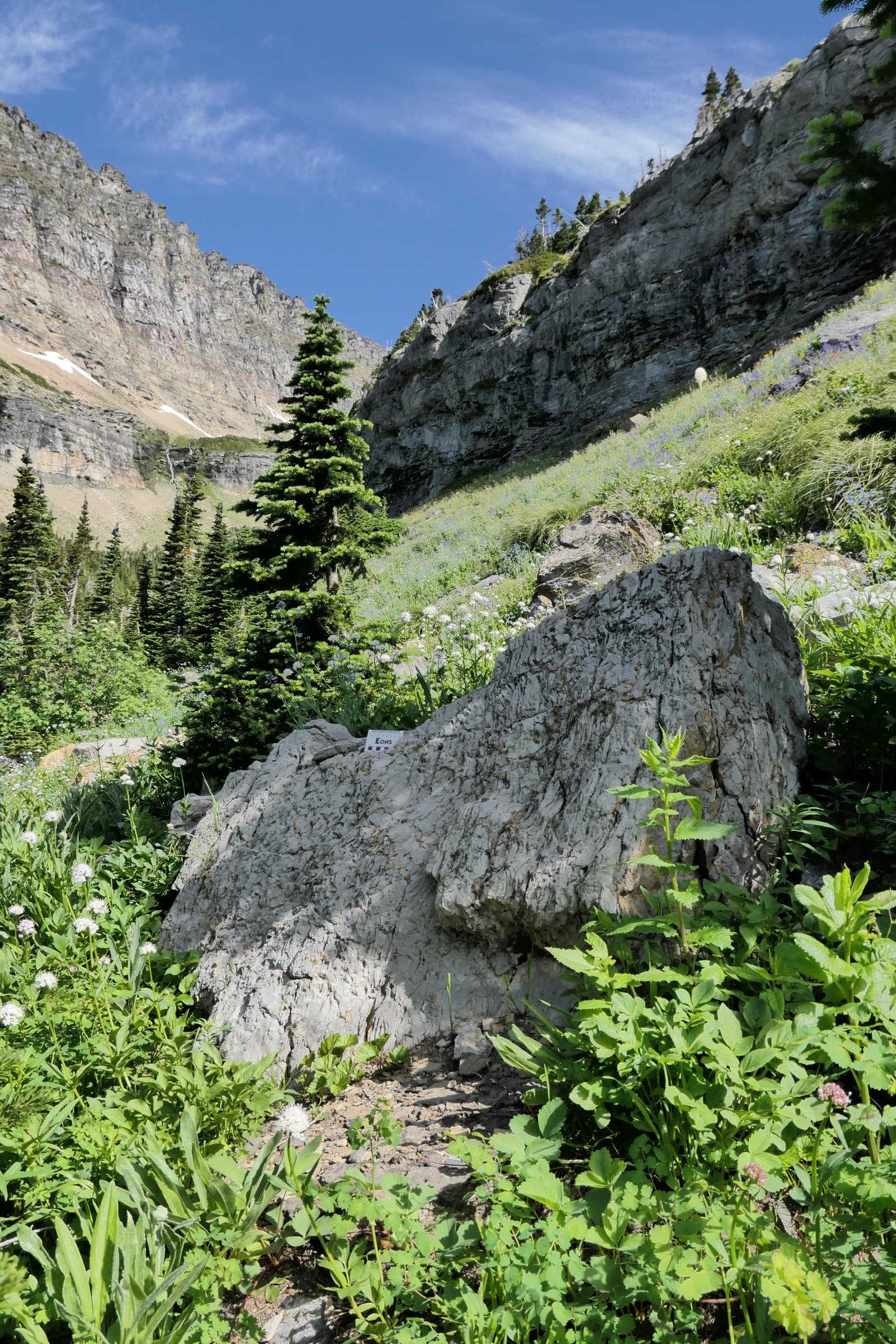 Exploring Stromatolites in Glacier National Park: A Field Course from West Glacier photo 4