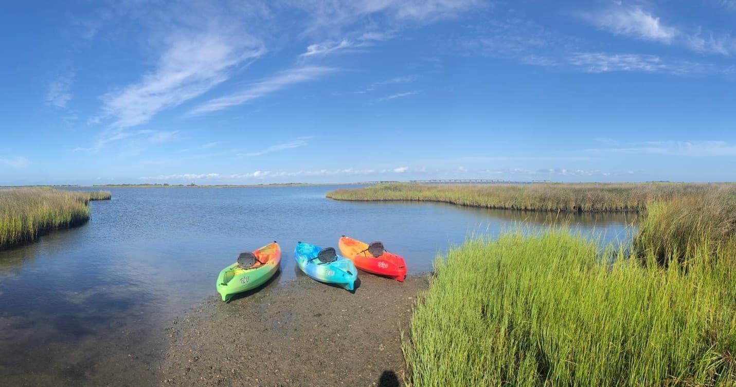 Colorful kayaks resting in coastal tidal marsh, sunny sky