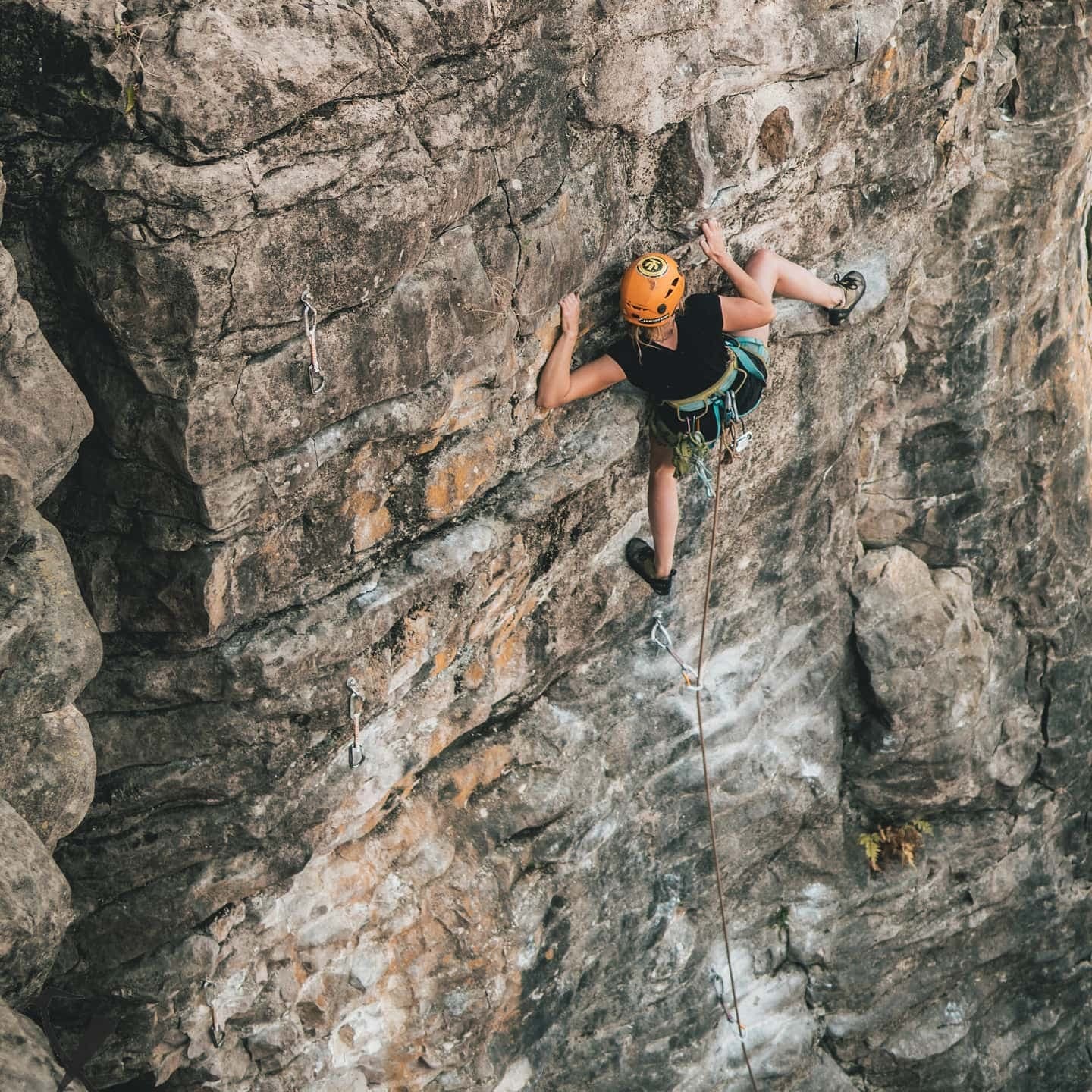 Real Rock Climbing Adventure with Raglan Rock in Waikato