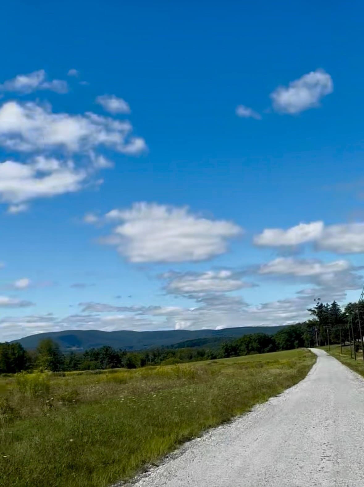 Richmond E-Bike Tour: Easy Guided Ride Through Berkshire Farmland