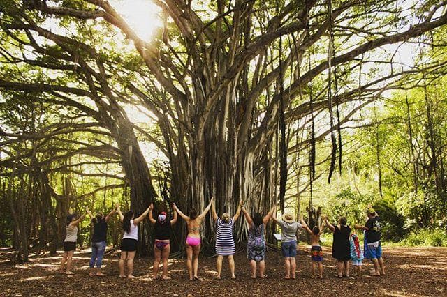 Group exploring massive banyan tree grove on Oahu hike