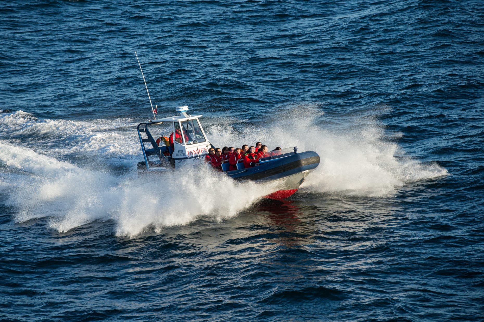 Wildlife & Water: Tofino Whale Watching with Jamie’s Station