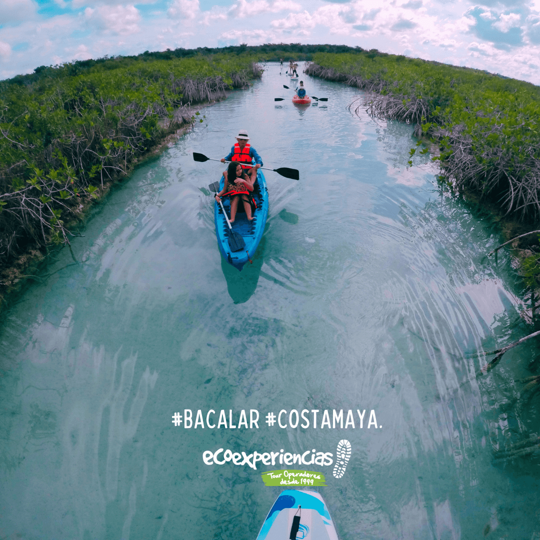 Water Activities & Eco-Adventure with EcoExperiencias Tour Operators in Bacalar
