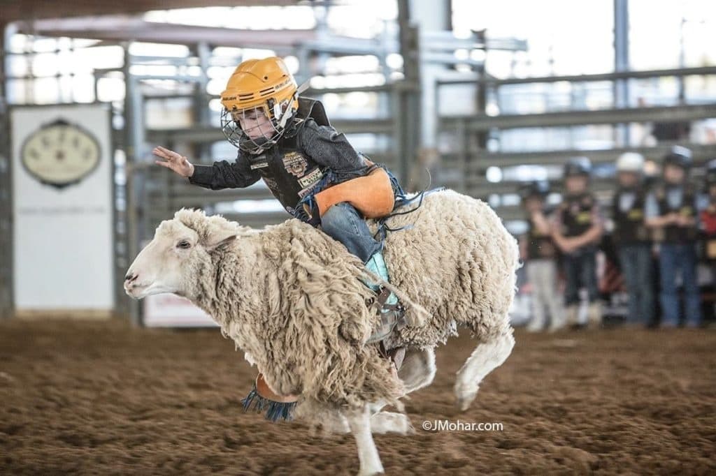 Mutton Bustin' Thrills with Tejas Rodeo Company in Texas