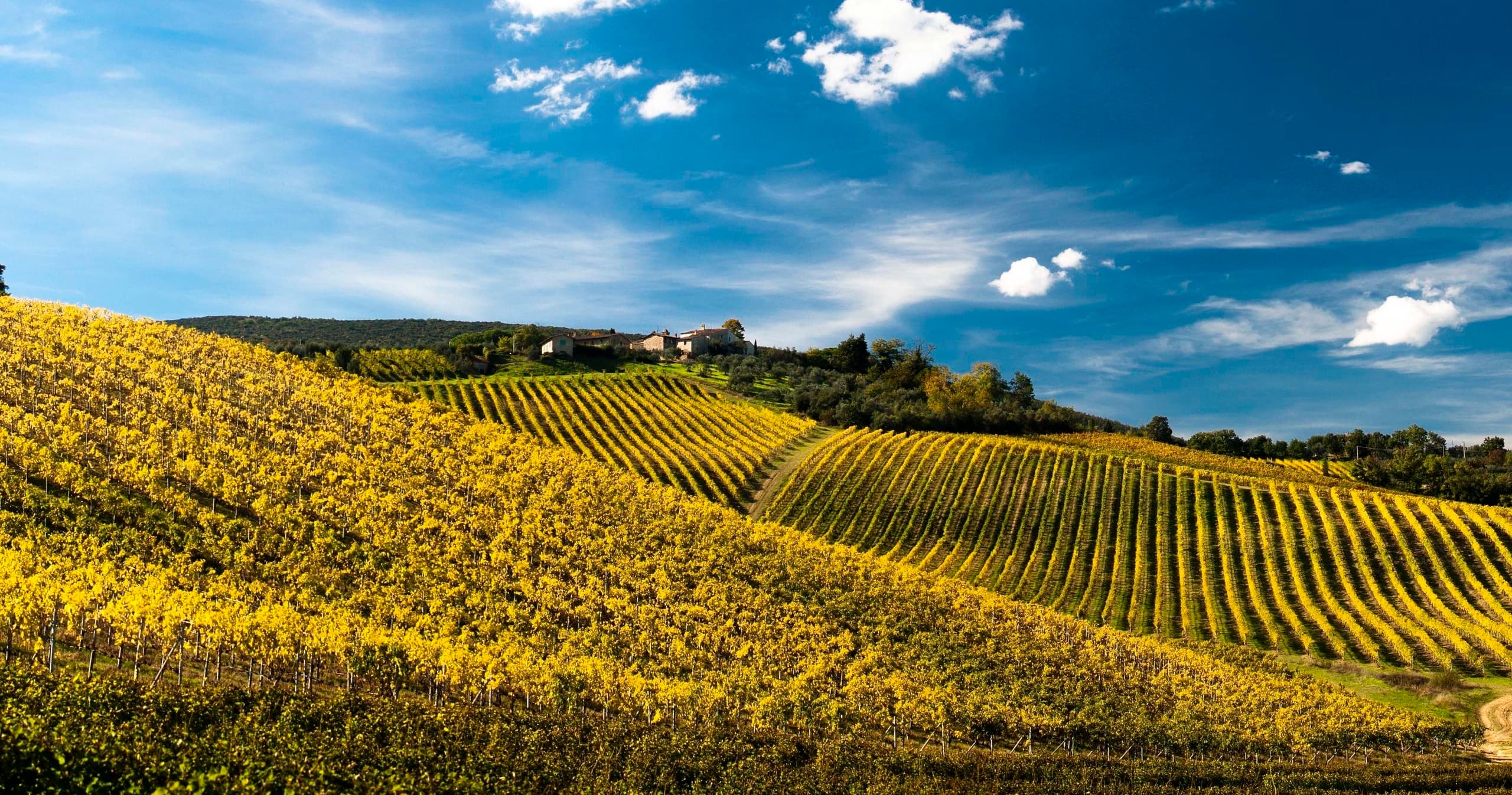Toscana Bike Tour by Italy Cycling Tour in Treviso