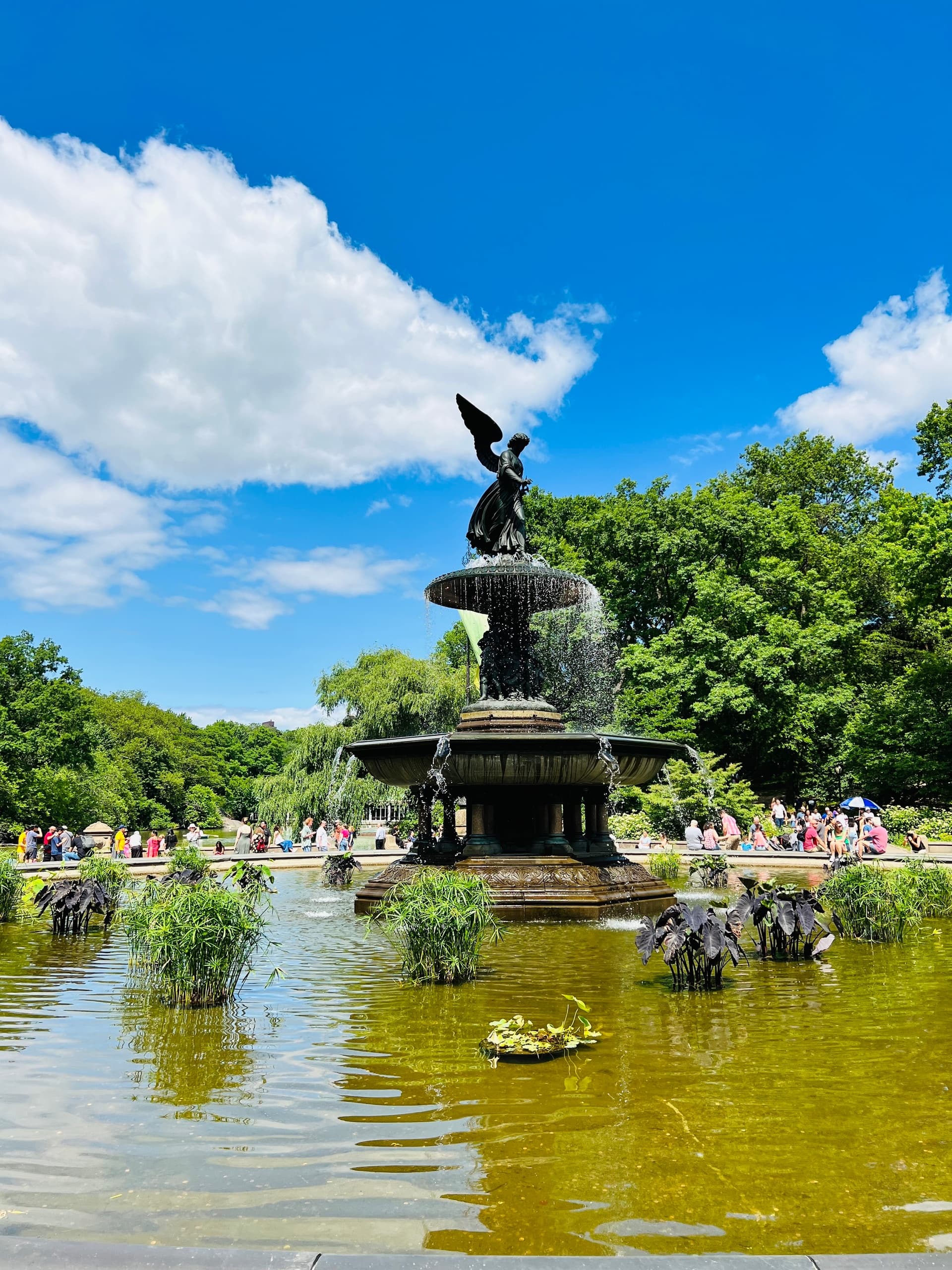 Quick Photo Tour with Rus Central Park Rides in NYC