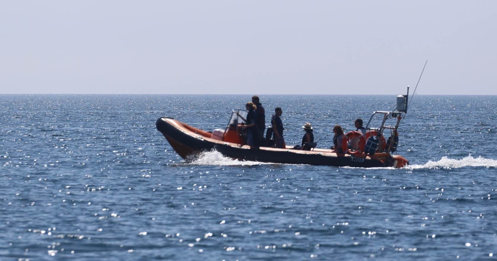 Private RIB Charters from Penzance: Atlantic Adventures Coastal Photography & Wildlife Trips
