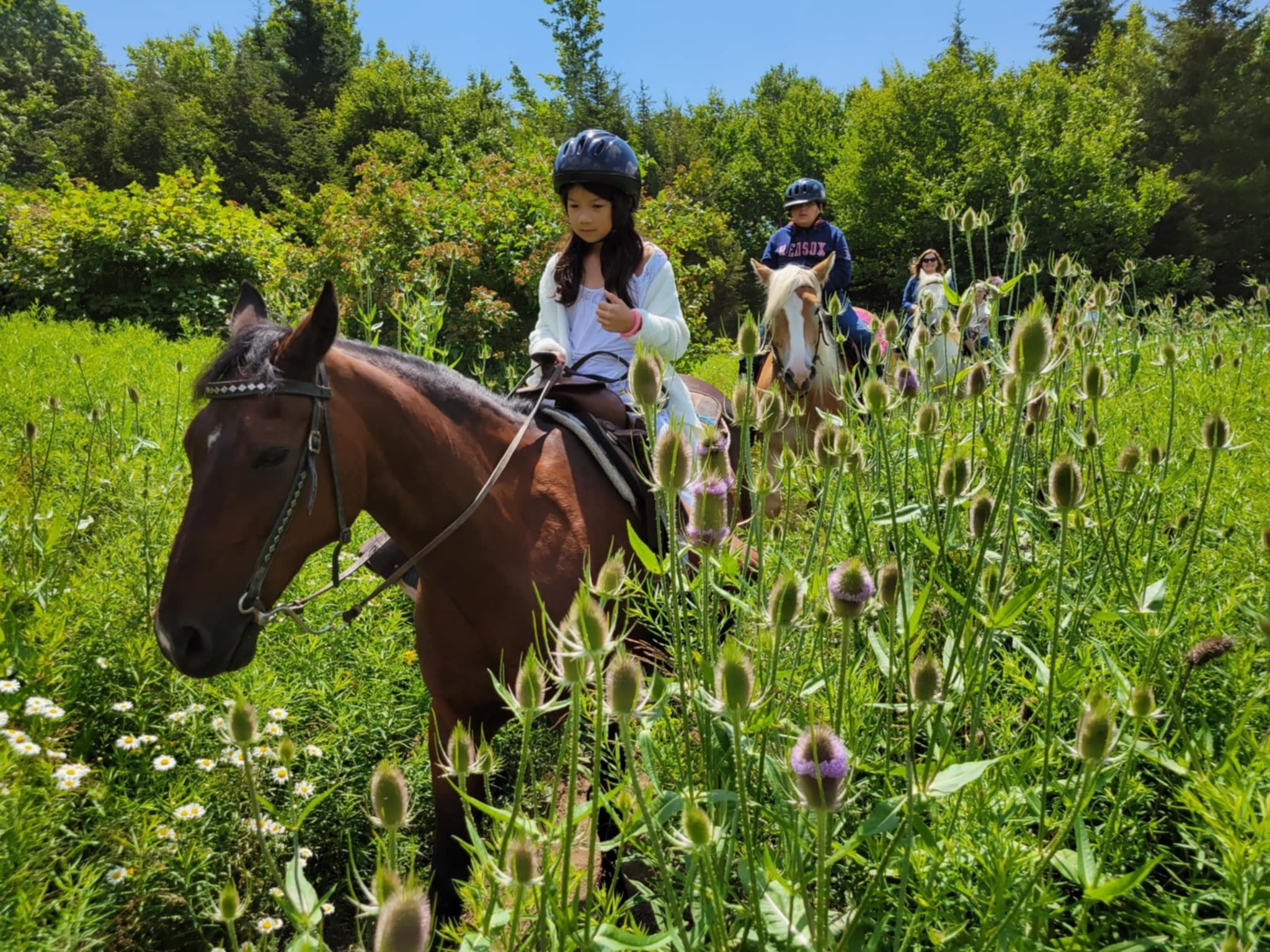 Experience Snowshoe Mountain’s Scenic 1 Hour Trail Ride Through Eastern Continental Divide