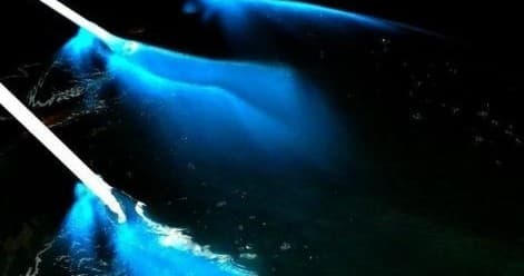 Bioluminescent Bay Clear Bottom Kayaking in Vieques, Puerto Rico