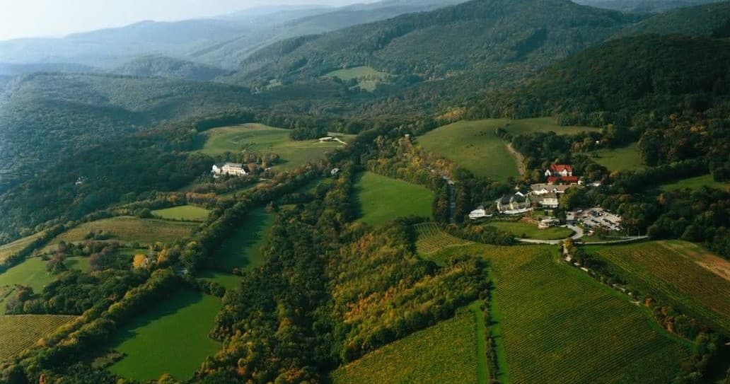 Explore Vienna Woods & Heiligenkreuz: Private Day Trip from Vienna