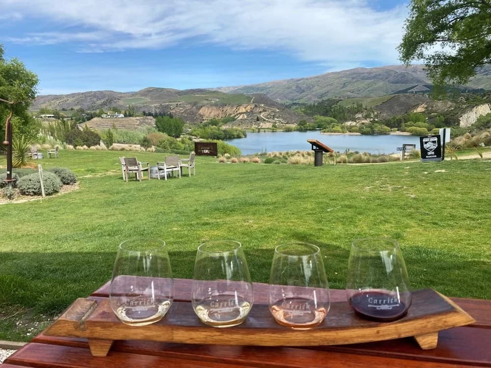 Private 8-Hour Bannockburn Wine Tour from Queenstown: Gibbston Valley to Bannockburn Pinot Experience