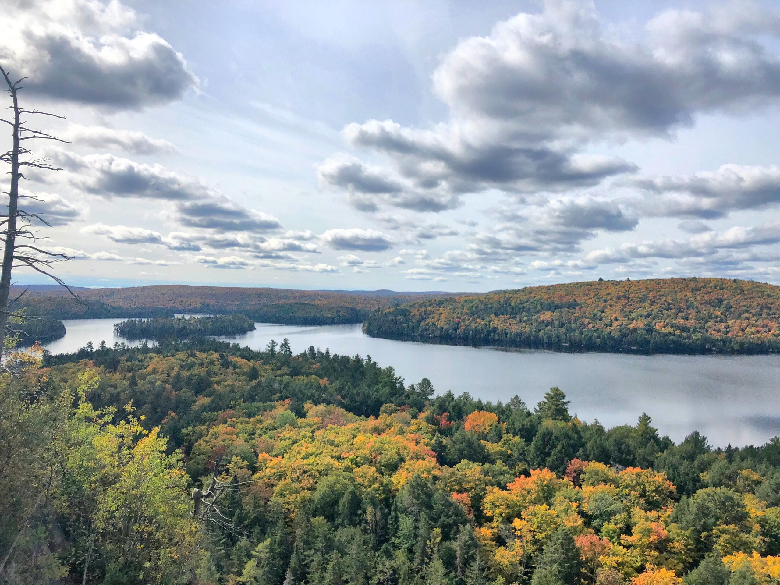 Algonquin Autumn Adventure with Toronto EcoAdventures