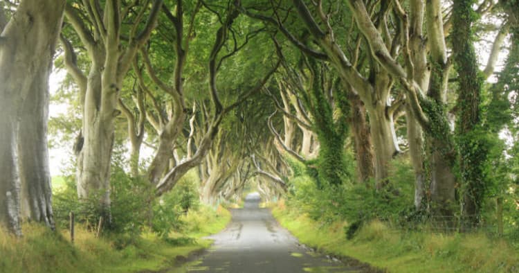 The Art Spirit Tour in Wyeth Country with Thin Places Mystical Tours