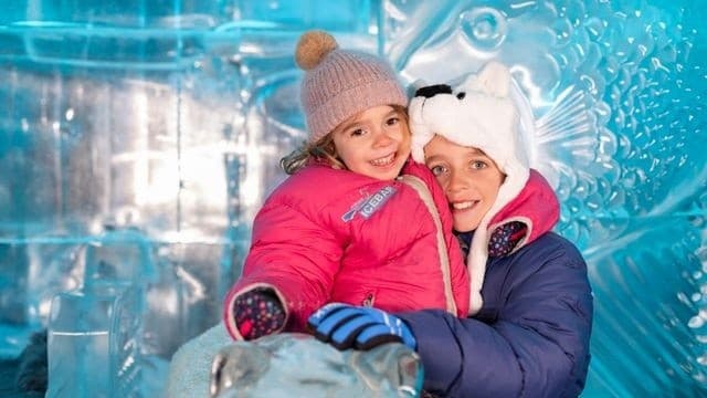 Minus 5° ICE BAR: Queenstown's Carved Ice Experience on Steamer Wharf photo 1